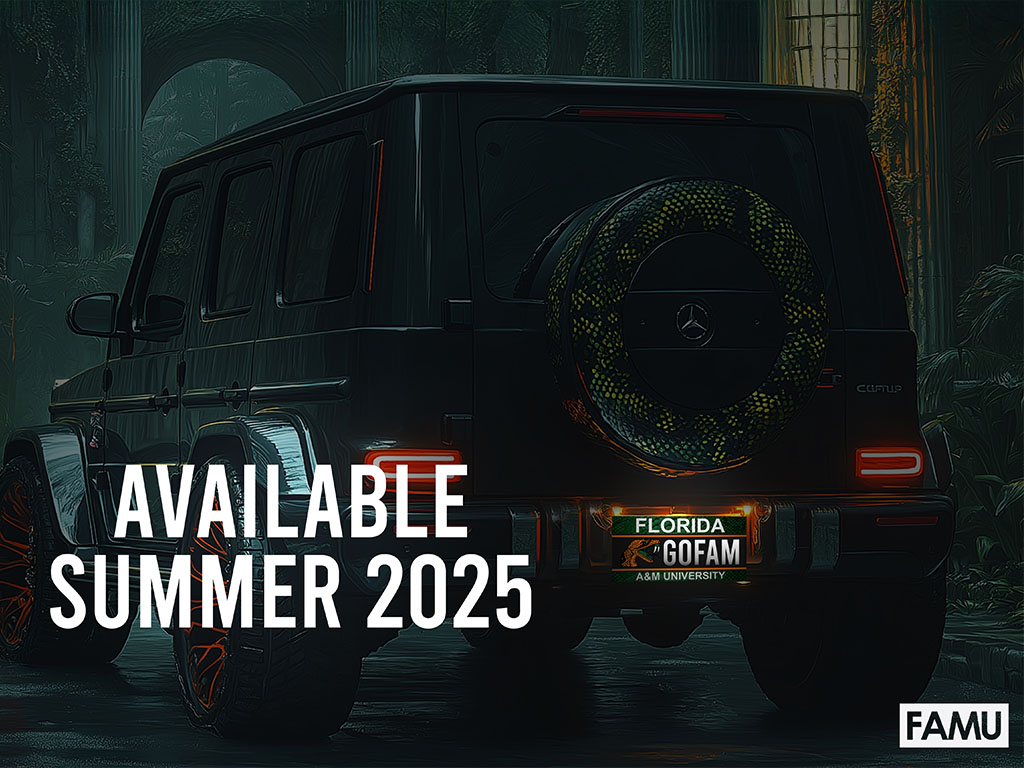 AI image of FAMU LICENSE Plate on mercedes