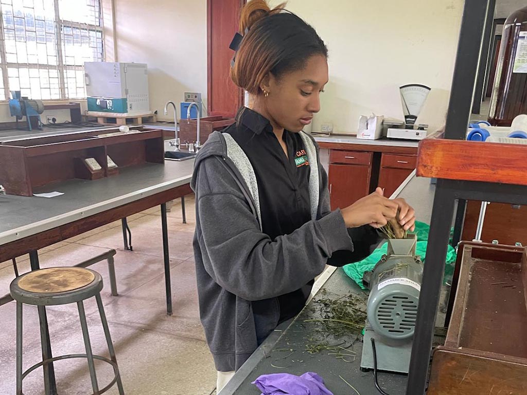 Scholars partner with Bowie State University to explore culture, history and innovation abroad