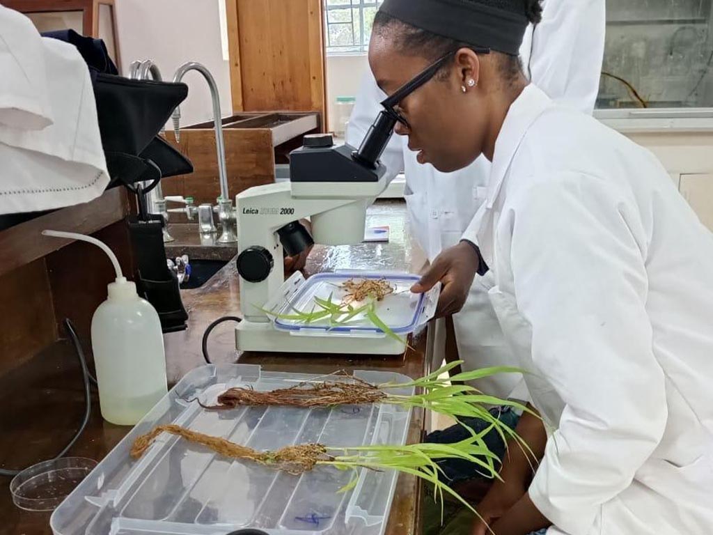 The program allowed students to see how science, culture and history intersect in Africa.