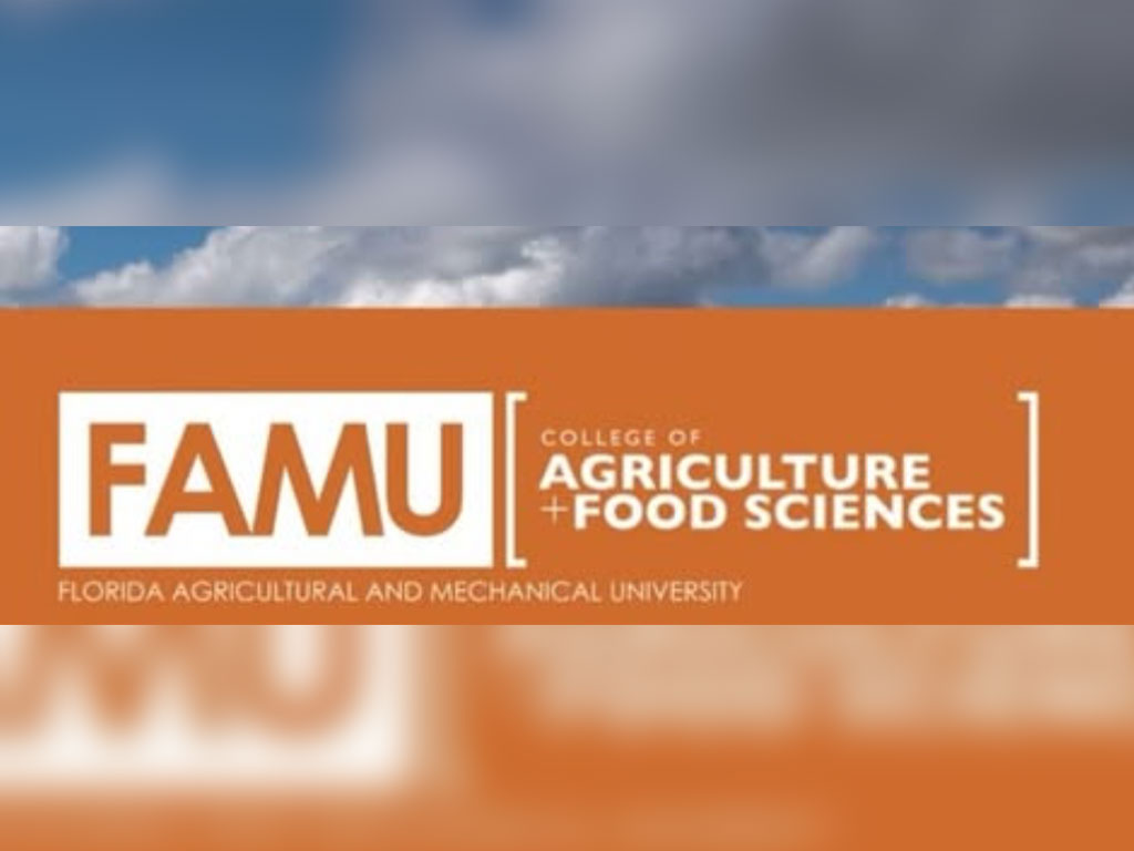 Research conducted through FAMU's College of Agriculture and Food Sciences is helping advance mosquito surveillance strategies aimed at improving public health outcomes and reducing disease transmission risks.