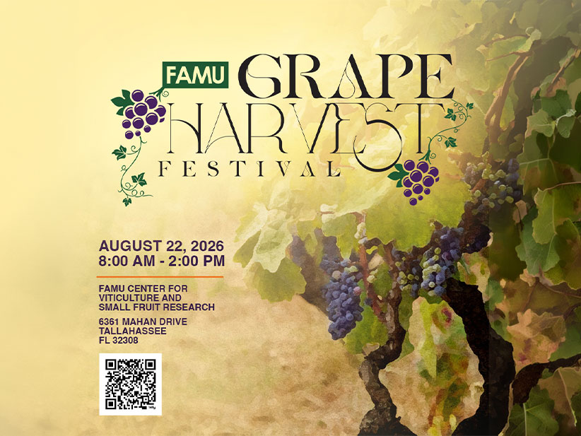 Grape Harvest Festival promotional flyer for 2026