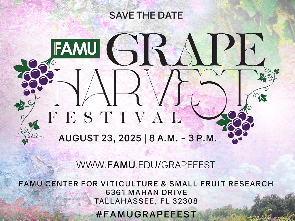 The Grape Harvest Festival is where science meets community.