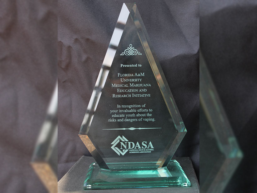 The NDASA award for MMERI