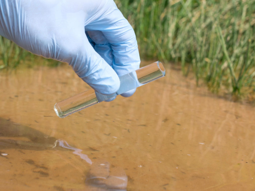 Researchers collect mosquito larvae from standing water as part of ongoing efforts to evaluate mosquito populations and improve surveillance strategies. The data helps scientists better understand mosquito breeding patterns and strengthen disease prevention efforts.