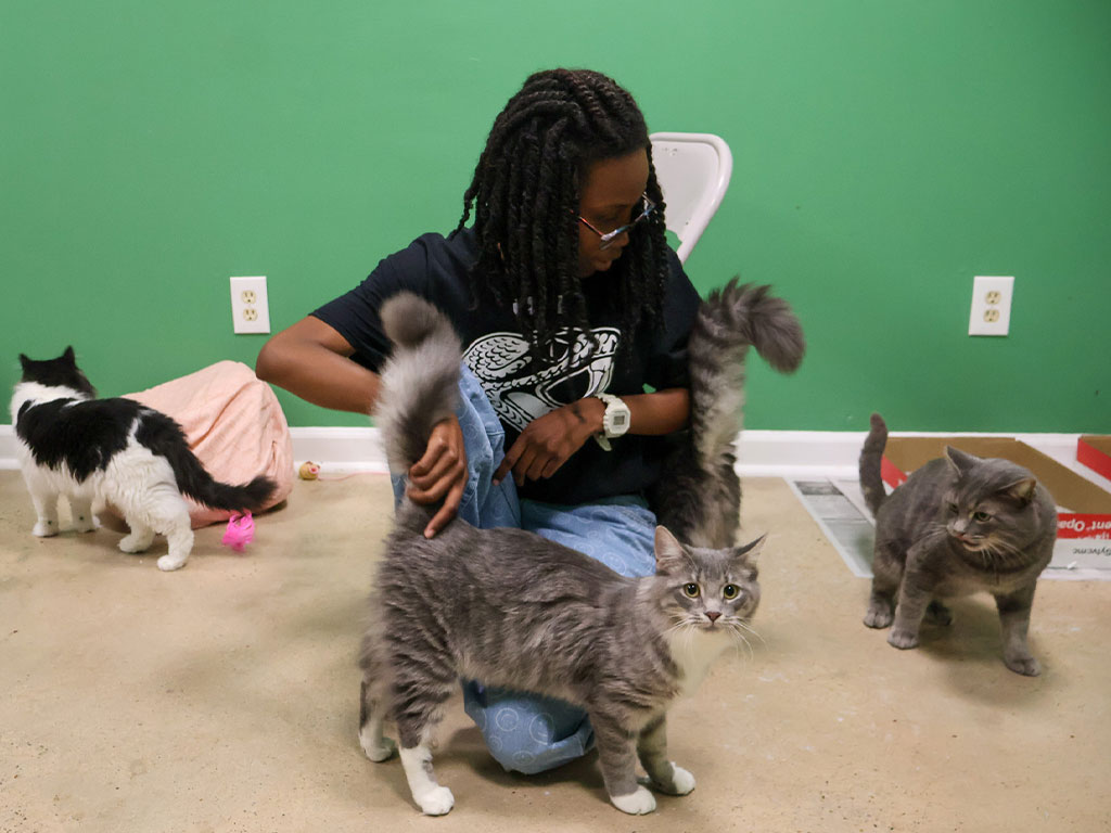 Genesis Dawkins at the Humane Society