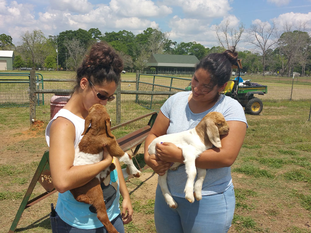 FAMU VTP students holding lambs. 