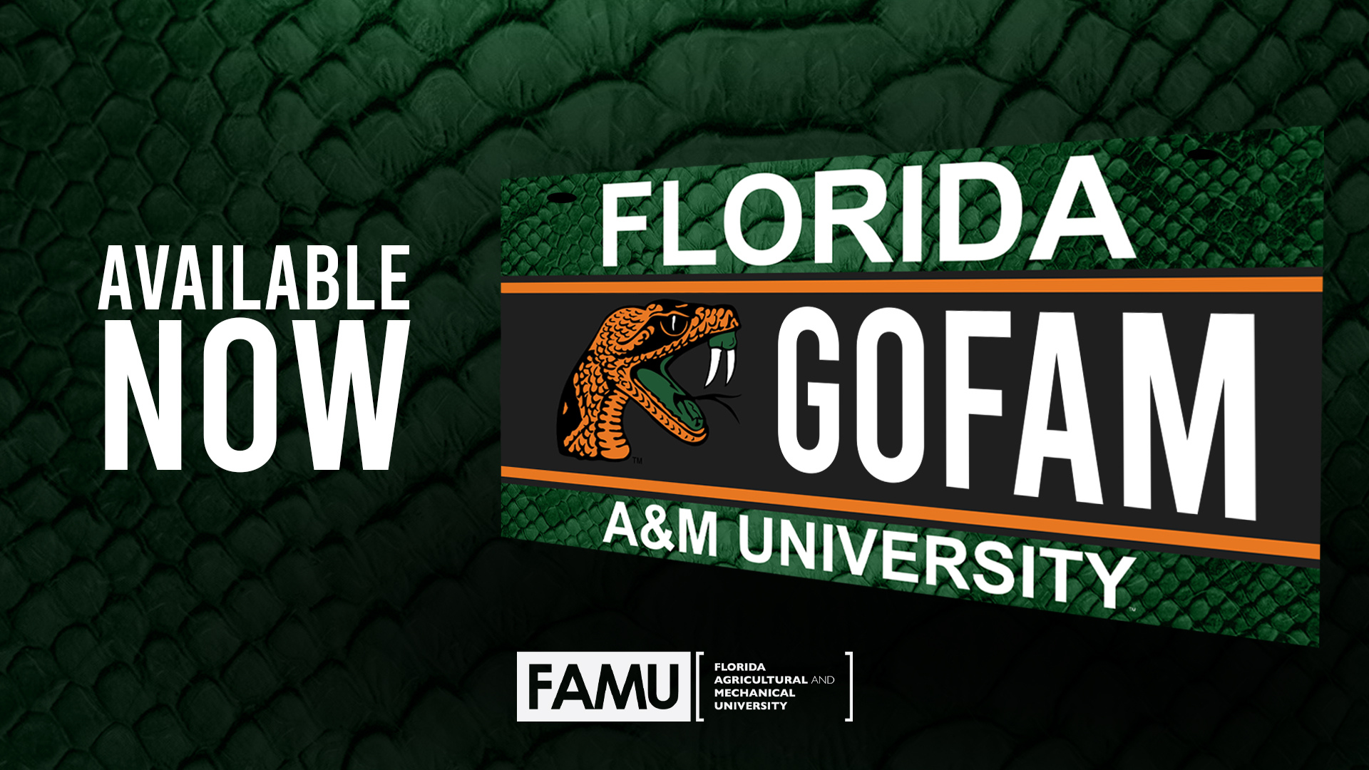 Florida A&M University Launches New Florida Rattler License Tag